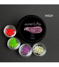 Набір Builder Gel Thick №9 та сухоцвіти ARPIKS, №1
