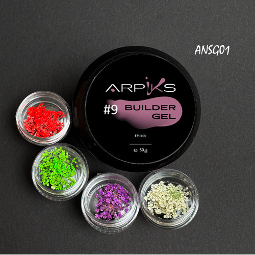 Набір Builder Gel Thick №9 та сухоцвіти ARPIKS, №1