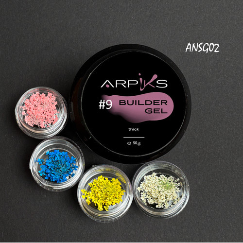 Набір Builder Gel Thick №9 та сухоцвіти ARPIKS, №2